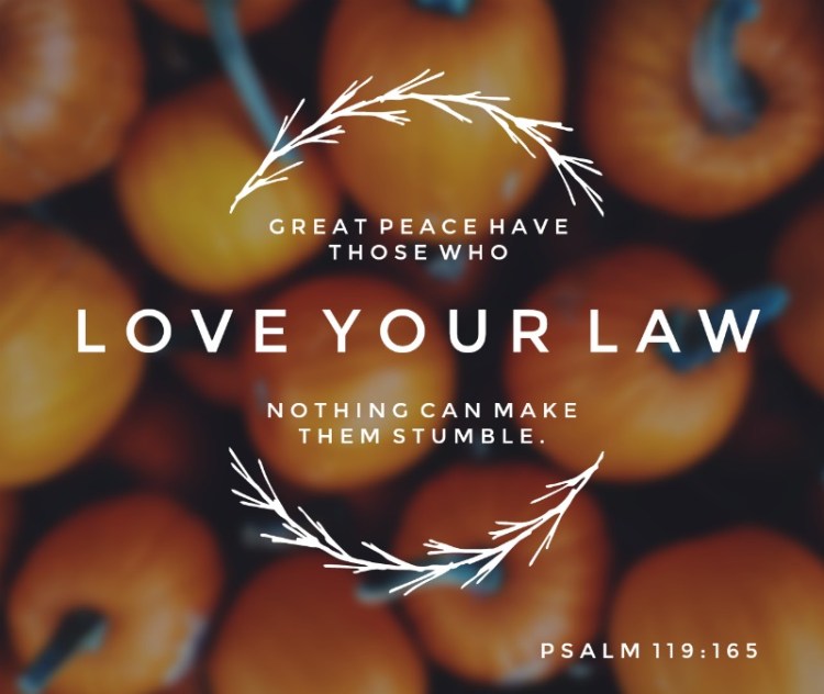 102417-Psalm-119-165-NoLogo