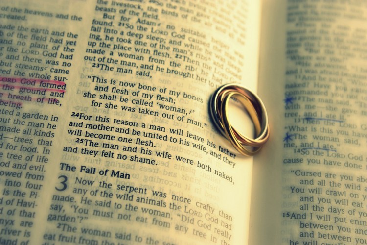 4583556905_81ecd8d844_b